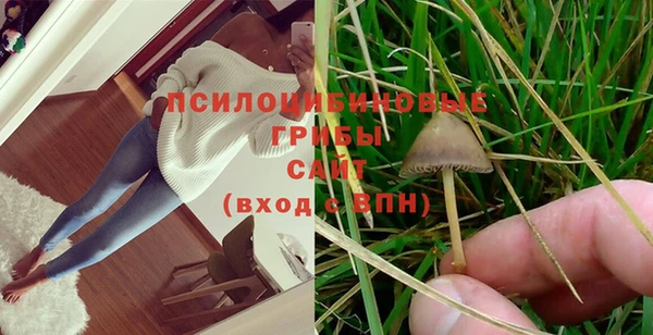 ГАЛЛЮЦИНОГЕННЫЕ ГРИБЫ Магадан