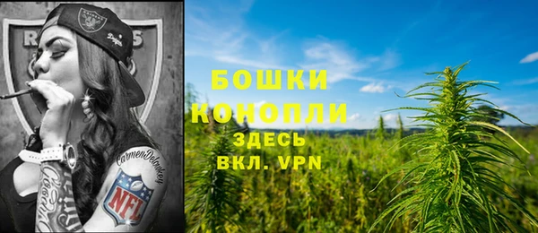 ГАЛЛЮЦИНОГЕННЫЕ ГРИБЫ Магадан