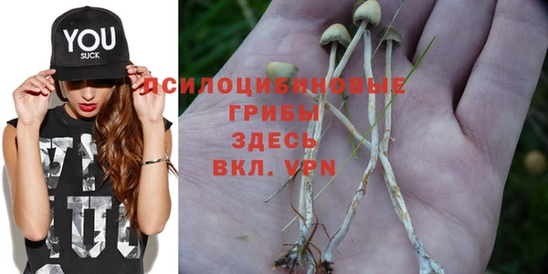 мдма Магас