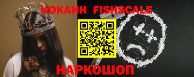 крисы Рязань