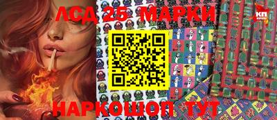 индика Рыбинск