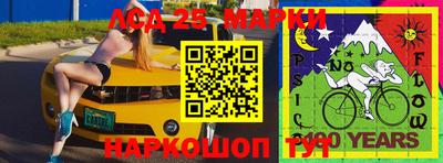 индика Рыбинск