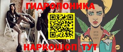 индика Рыбинск