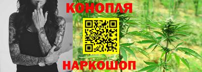 крисы Рязань