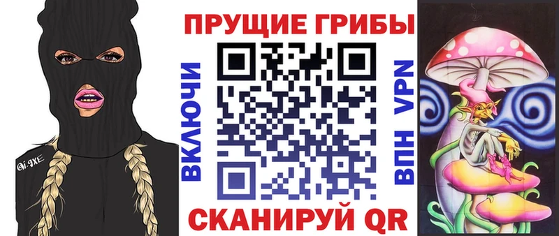 кракен ТОР  наркошоп  Армавир  Псилоцибиновые грибы Magic Shrooms 
