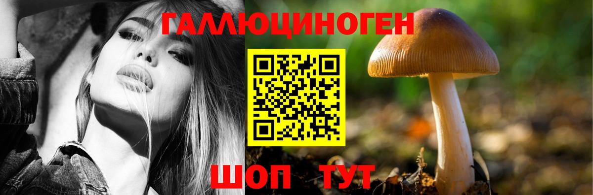 Псилоцибиновые грибы Psilocybine cubensis Армавир